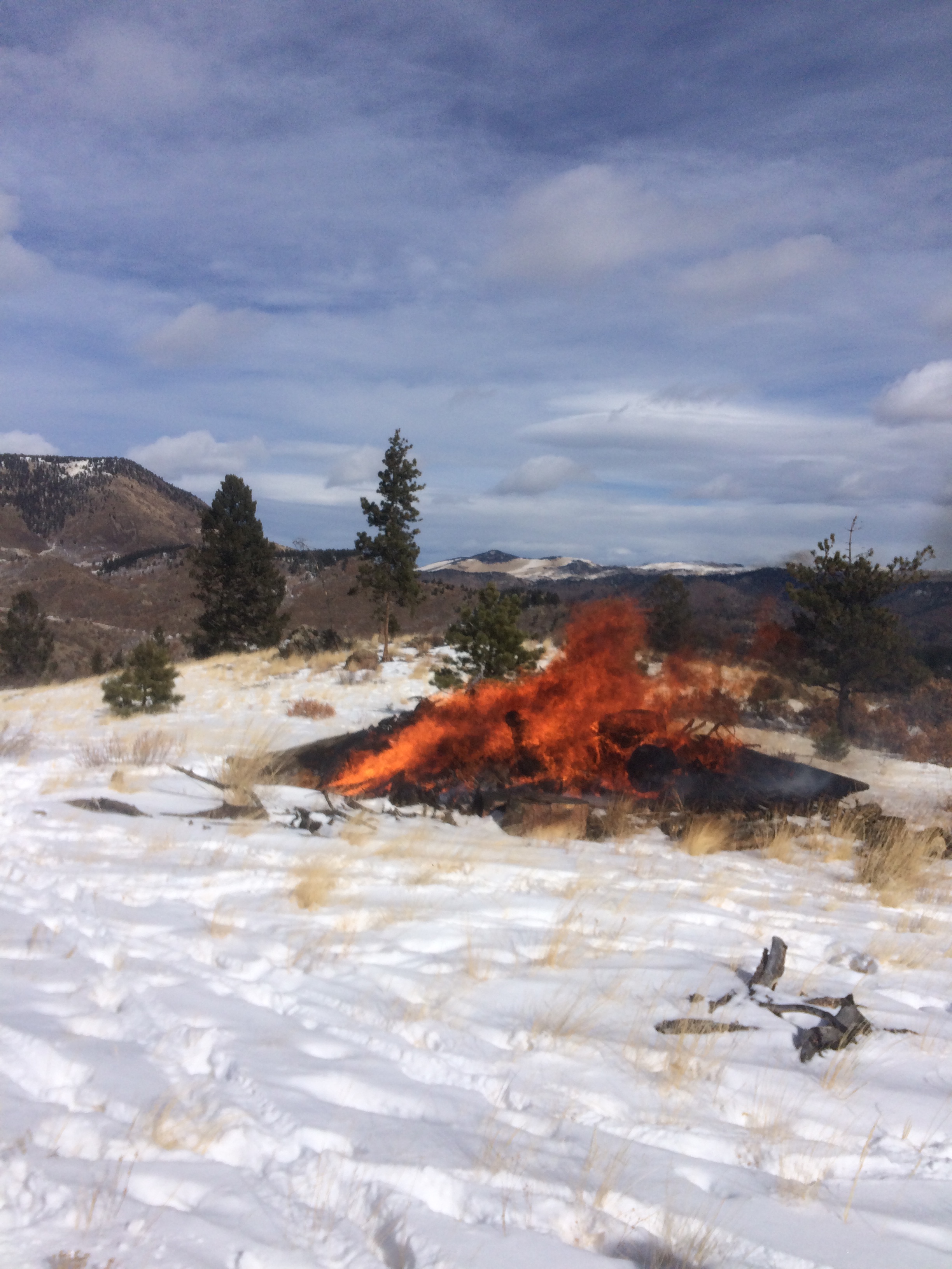 BLM plans nine pile burns in Southeastern Colorado Bureau of Land